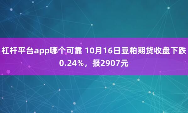 杠杆平台app哪个可靠 10月16日豆粕期货收盘下跌0.24%，报2907元