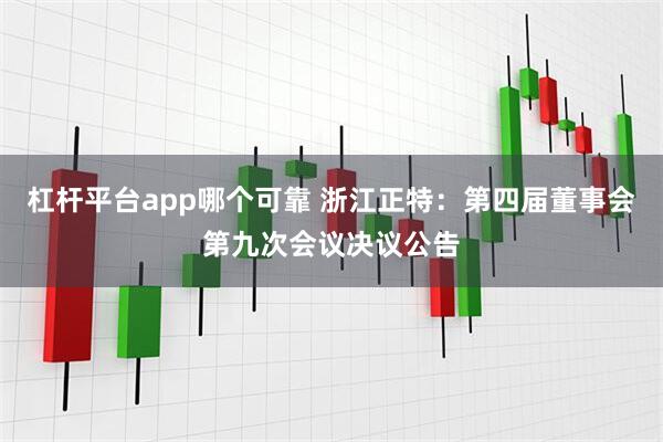 杠杆平台app哪个可靠 浙江正特：第四届董事会第九次会议决议公告