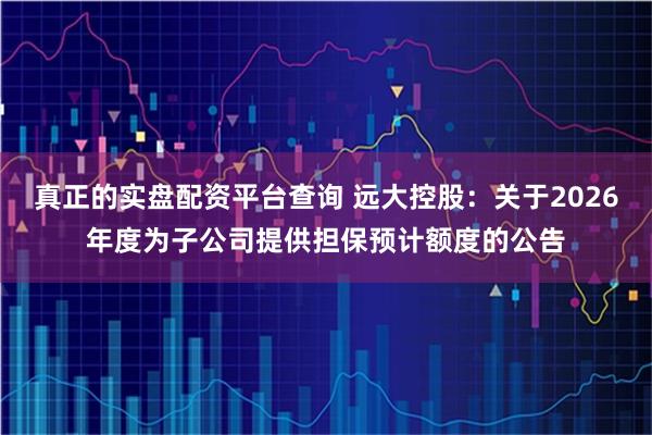 真正的实盘配资平台查询 远大控股：关于2026年度为子公司提供担保预计额度的公告